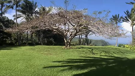 Ishuwa and the Yahyel - ET Contact in Lithuania, Shaun Swanson