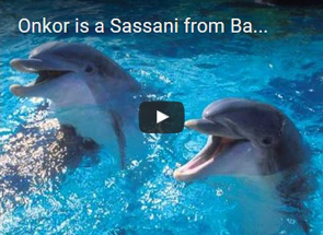 Avatars of the Phoenix Lights UFO, Open Contact, ishuwa, yahyel, yayel