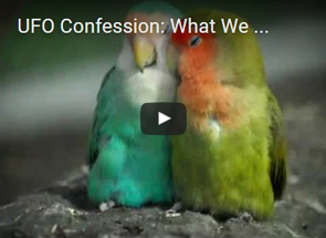 Avatars of the Phoenix Lights UFO, Open Contact, ishuwa, yahyel, yayel